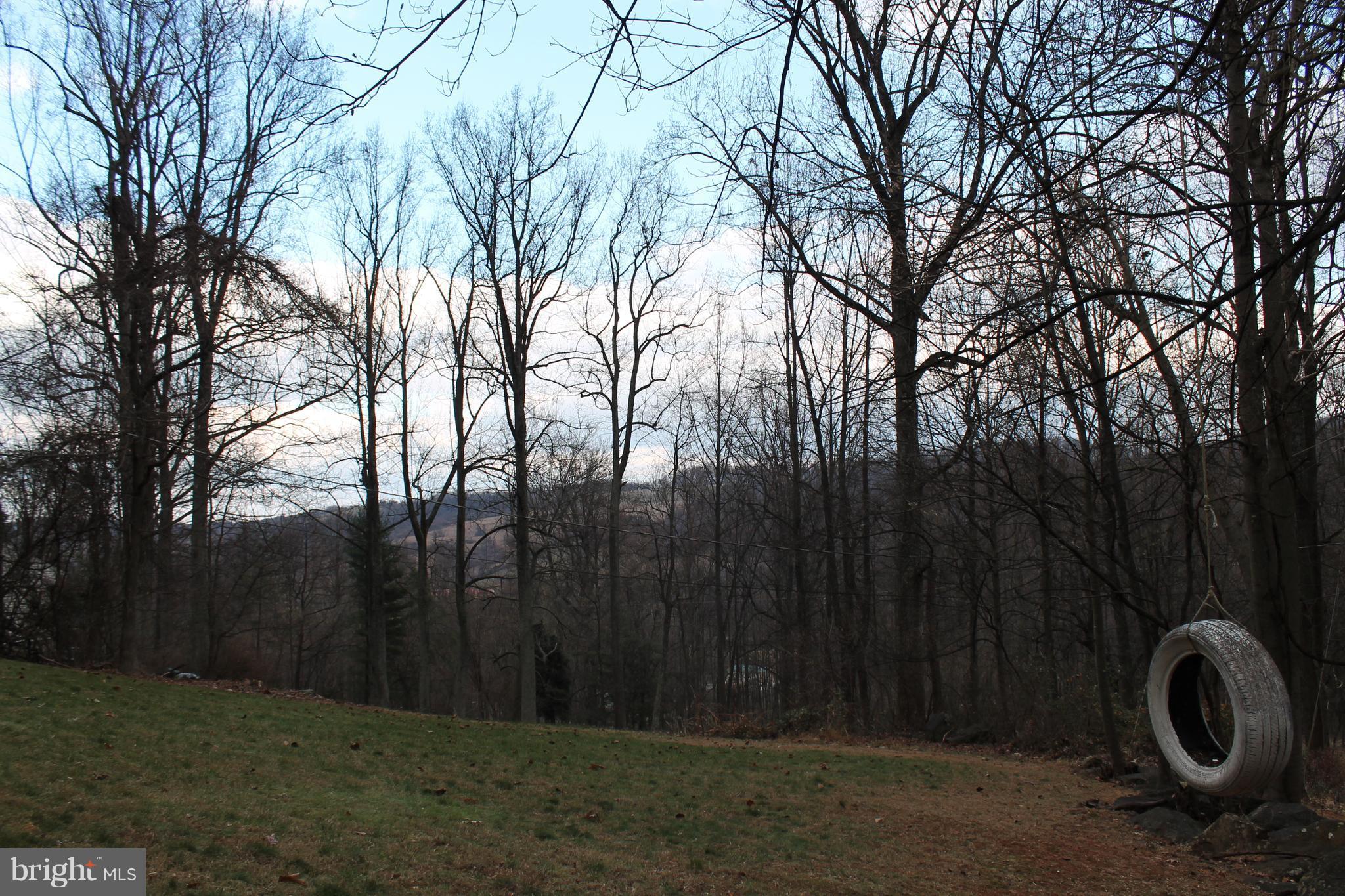44 Hickory Tree Road Front Royal, VA 22630 - Photo 3 of 30 a view of an outdoor space with trees