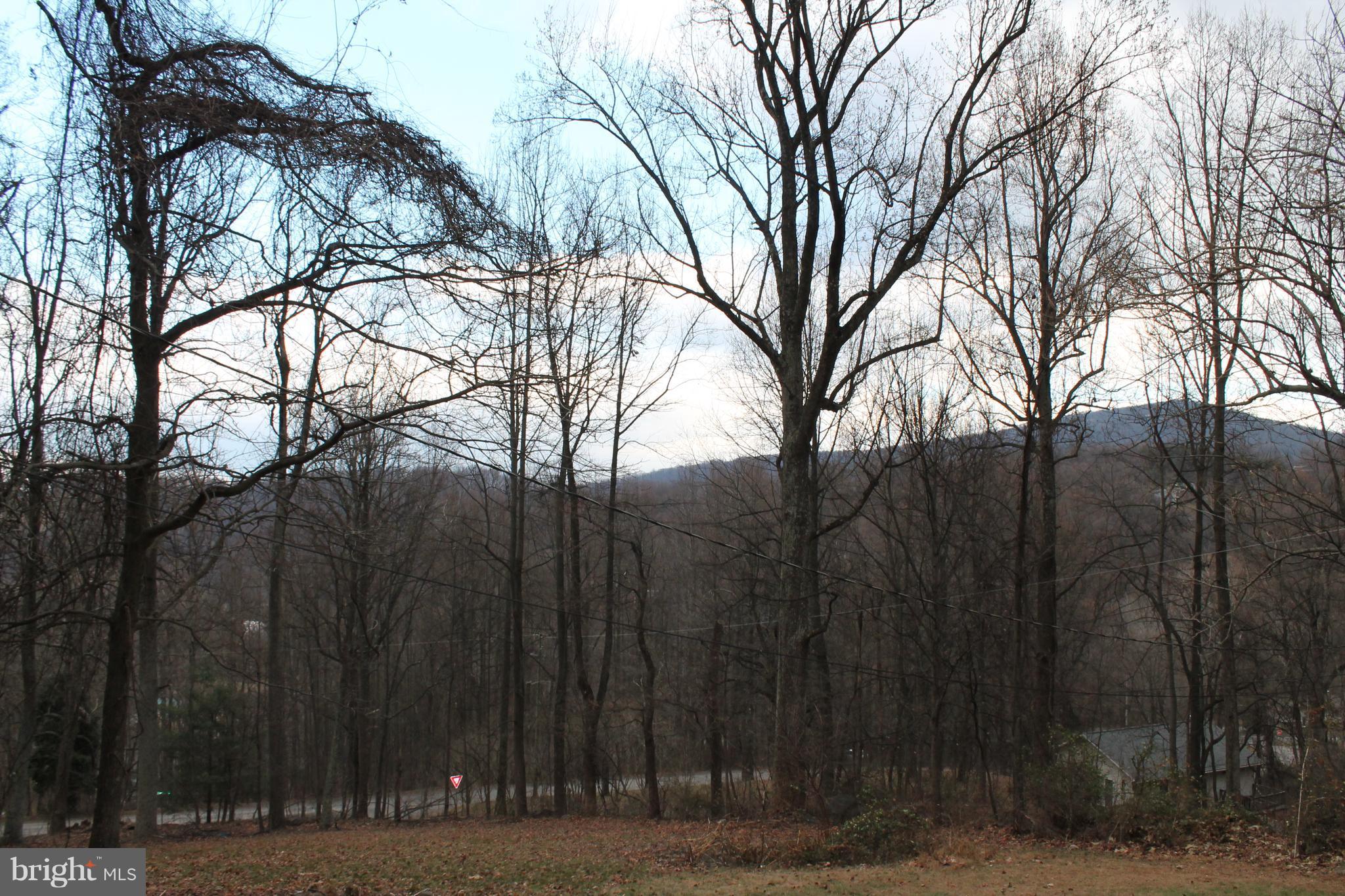 44 Hickory Tree Road Front Royal, VA 22630 - Photo 22 of 30 a view of outdoor space