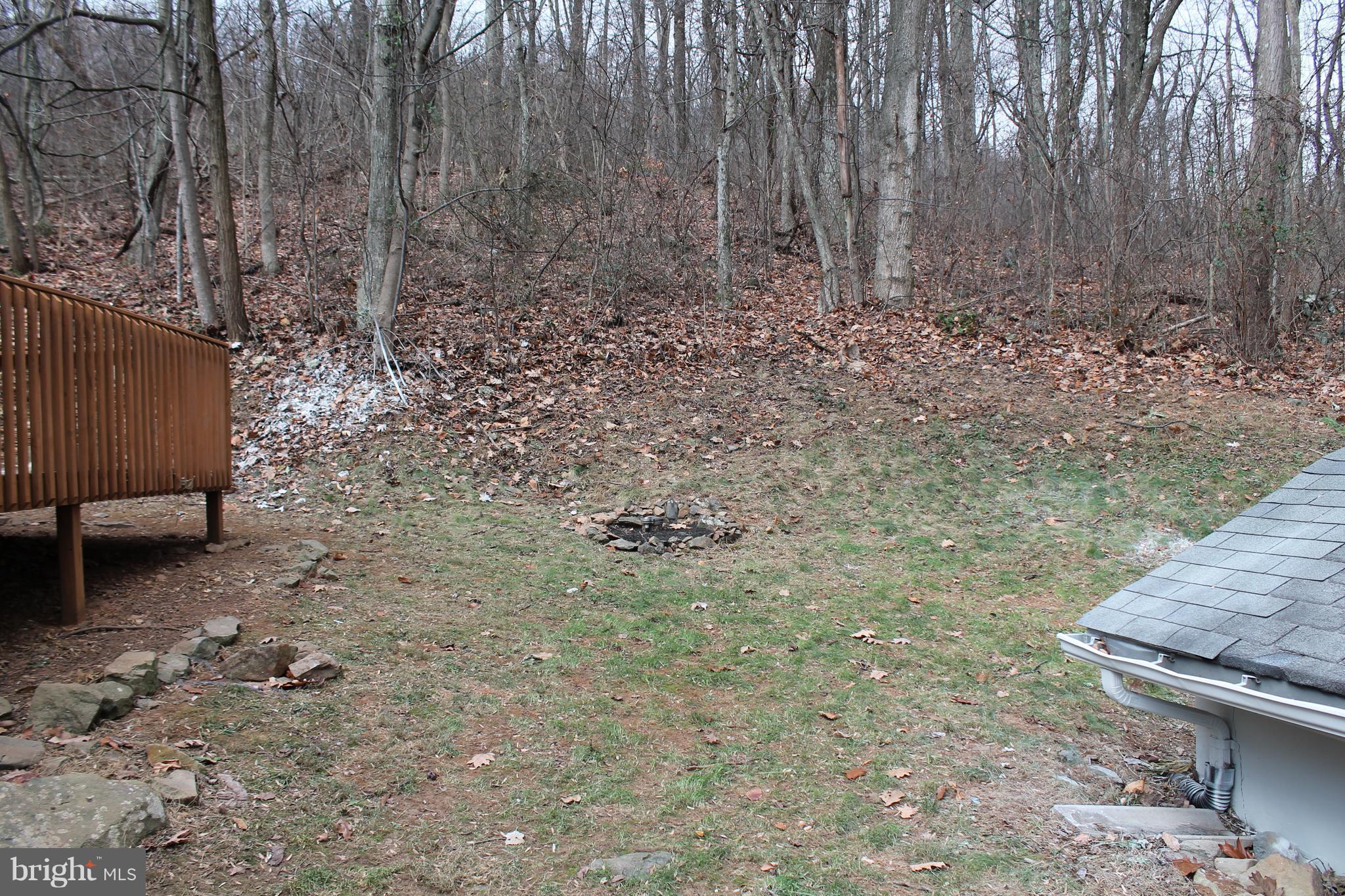 44 Hickory Tree Road Front Royal, VA 22630 - Photo 25 of 30 a backyard of a house with lots of green space