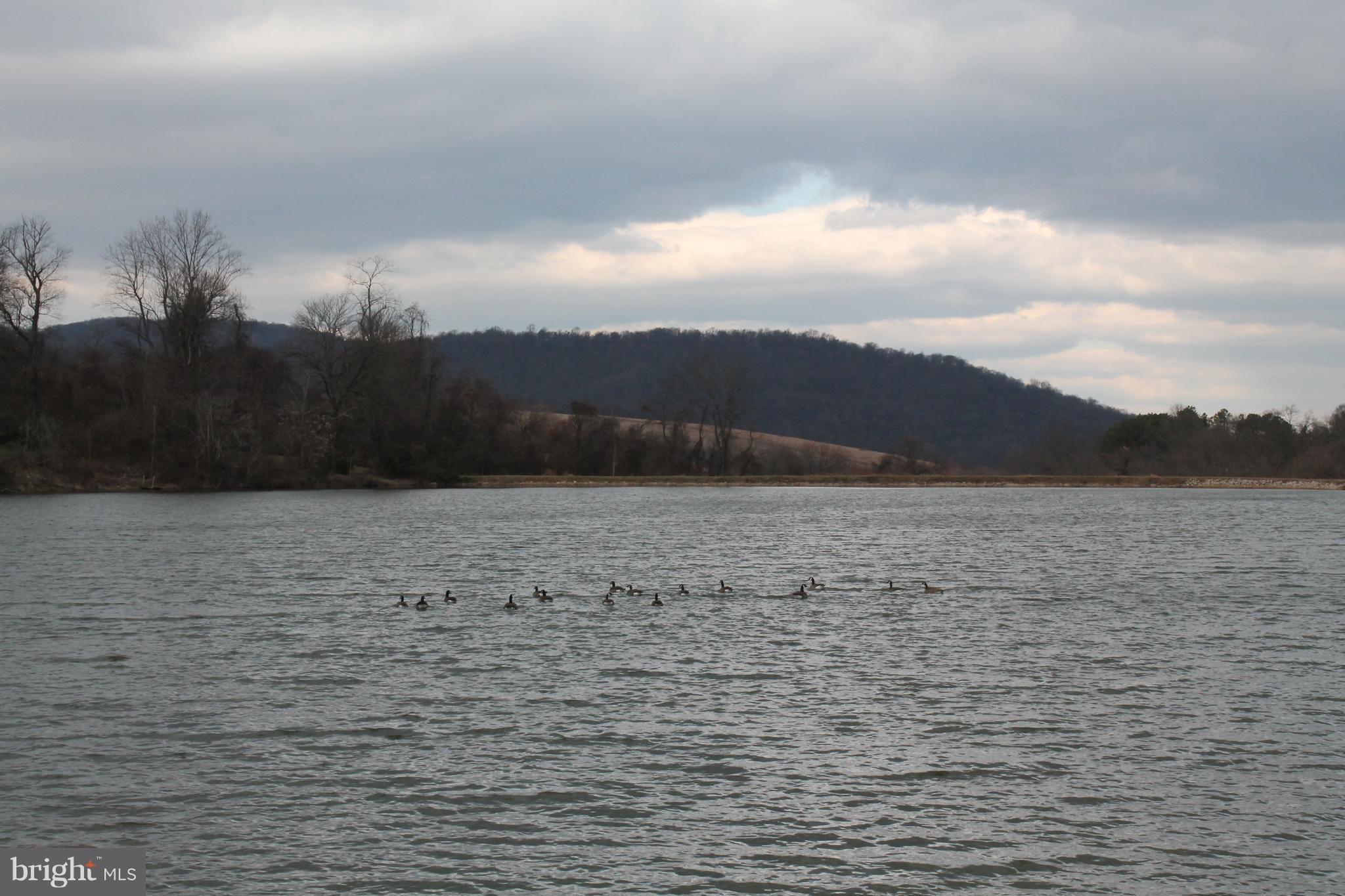 44 Hickory Tree Road Front Royal, VA 22630 - Photo 5 of 30 a view of lake and mountain