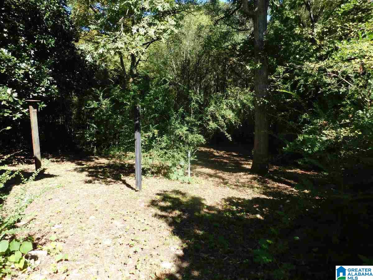 438 Tupelo Road Birmingham, AL 35215 - Photo 48 of 50