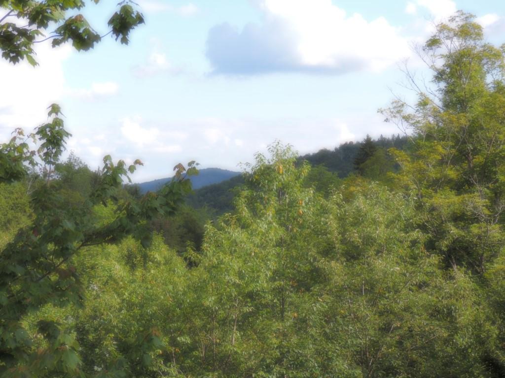 642 Richardson Road Killington, VT 05751 - Photo 6 of 36