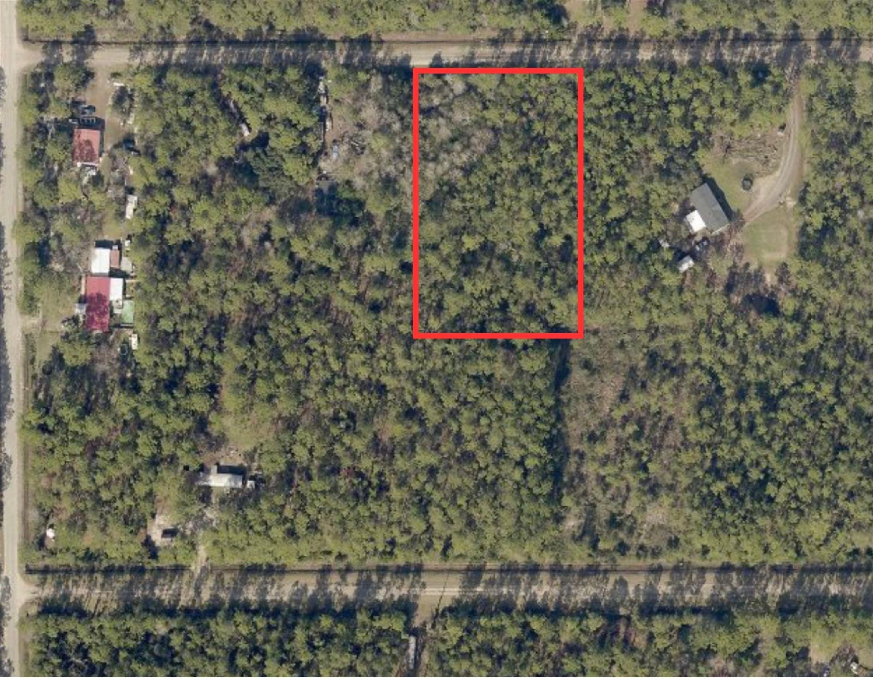 4245 Calvin Street Hastings, FL 32145 - Photo 5 of 8