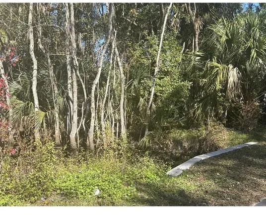 $74,500 | 0 Collier Boulevard, St. Augustine, FL 32084