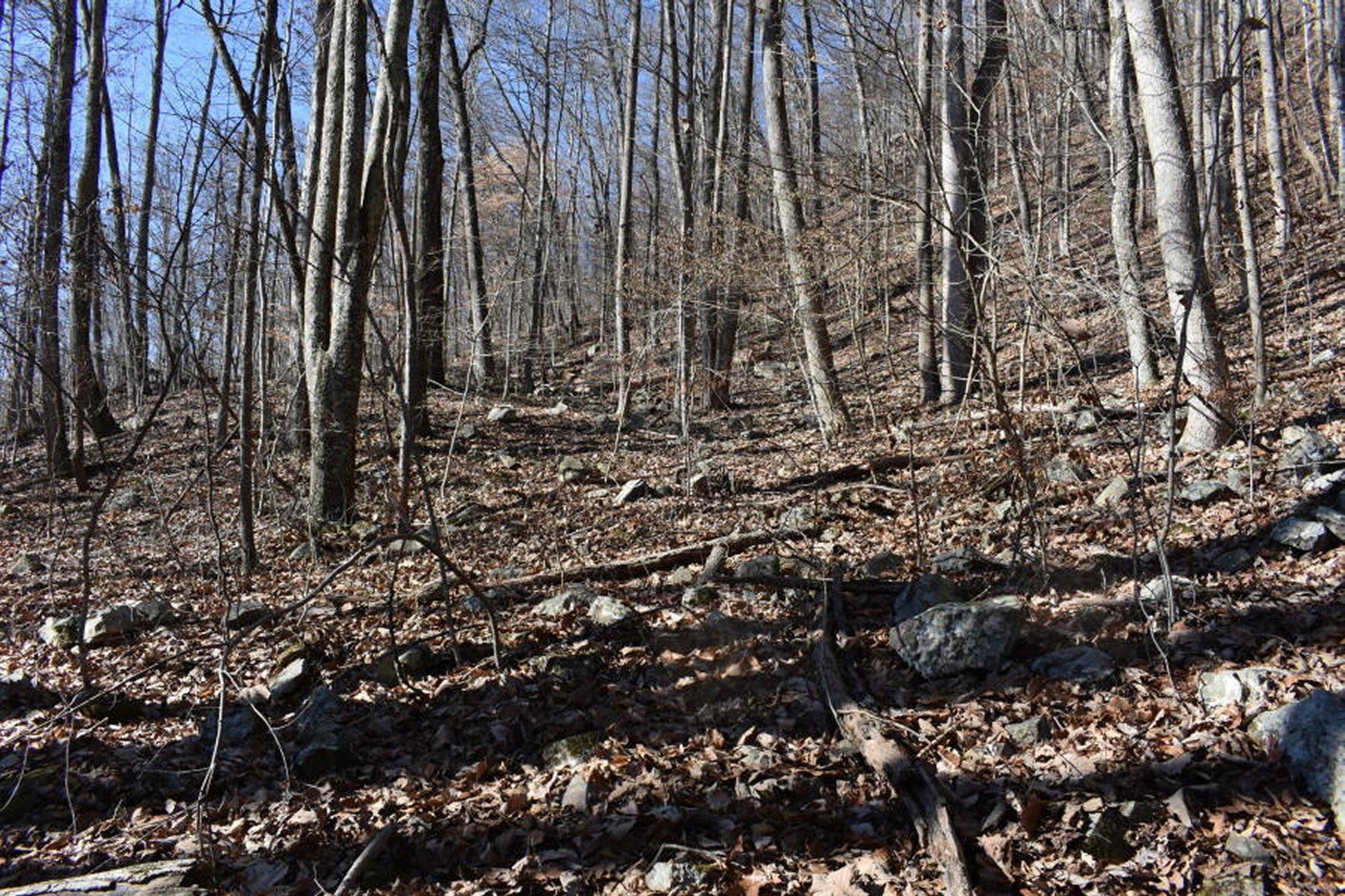 0 Sherm Mountain Road Sneedville, TN 37869 - Photo 18 of 24 18