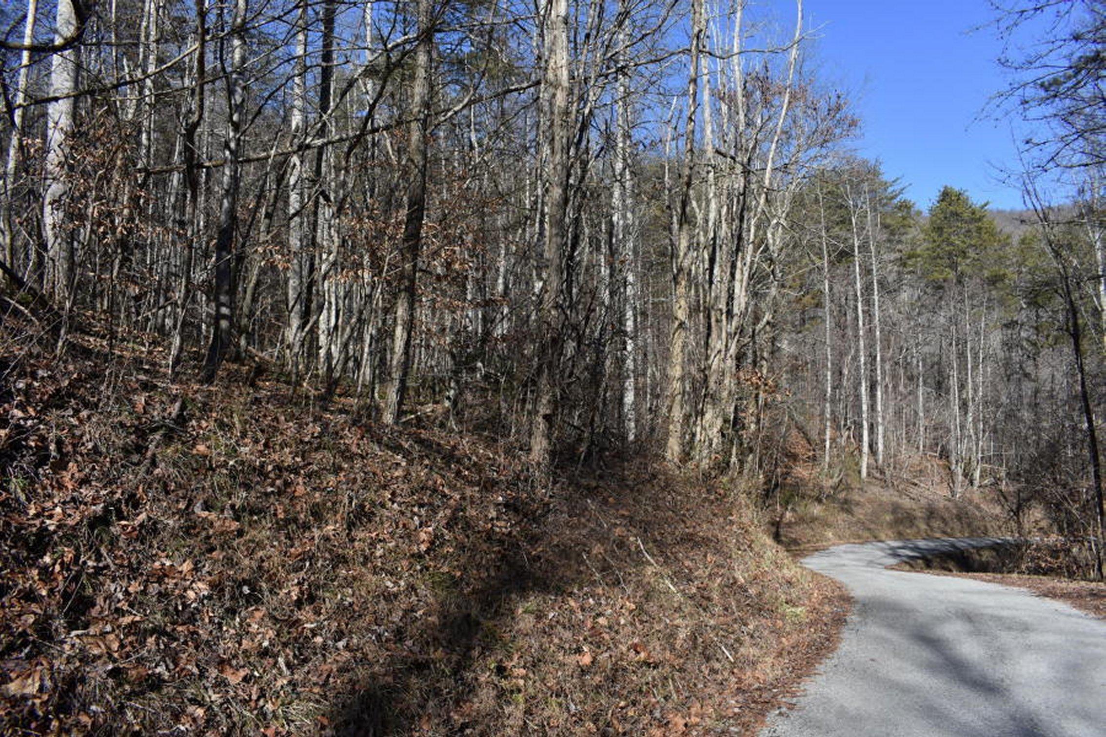0 Sherm Mountain Road Sneedville, TN 37869 - Photo 2 of 24 2