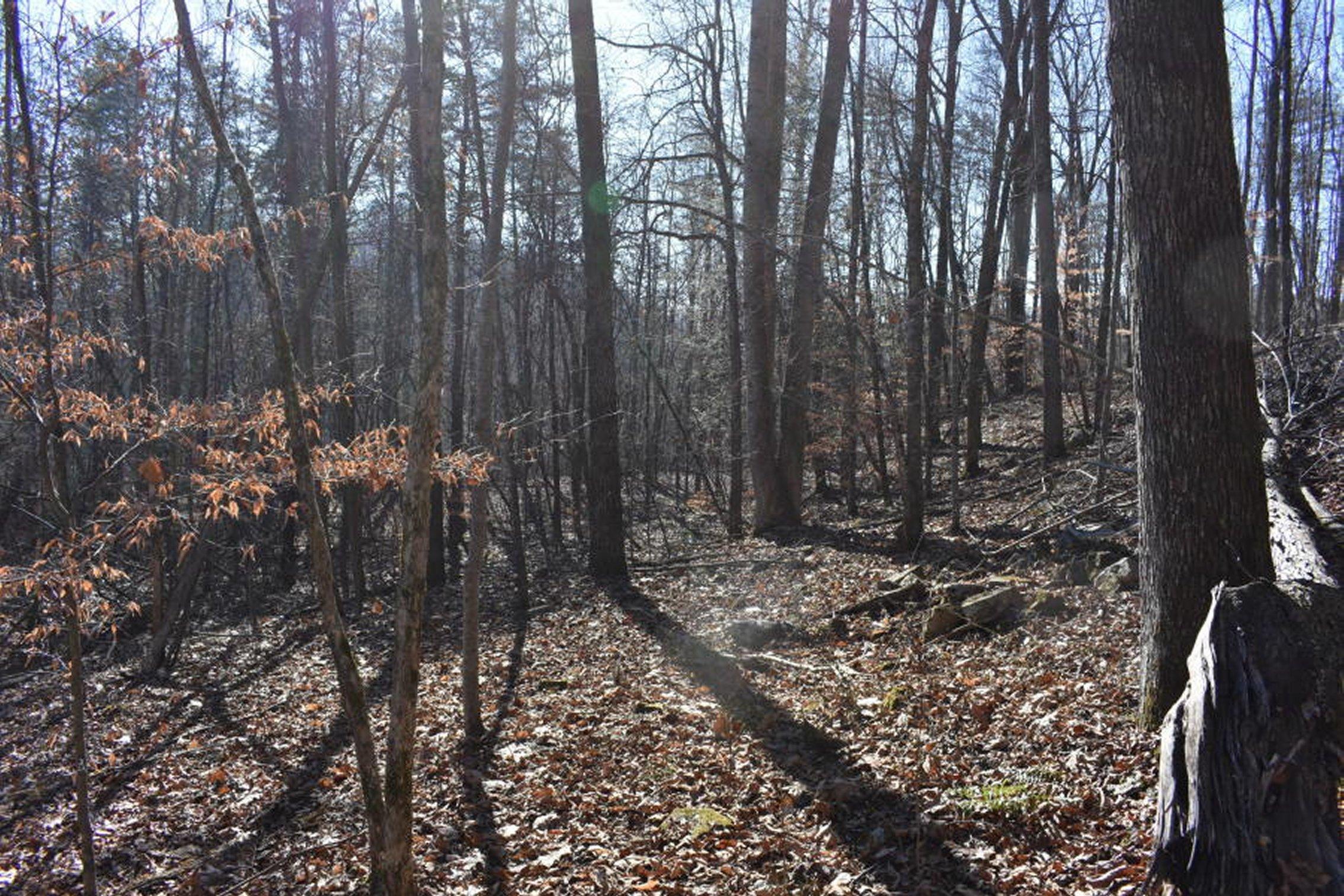 0 Sherm Mountain Road Sneedville, TN 37869 - Photo 24 of 24 24