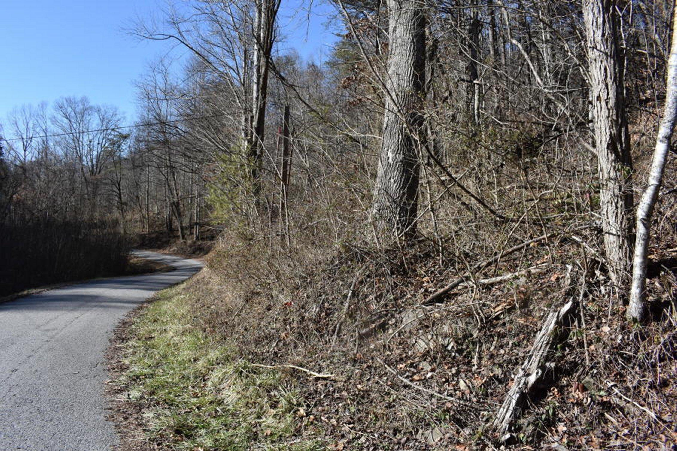 0 Sherm Mountain Road Sneedville, TN 37869 - Photo 3 of 24 3