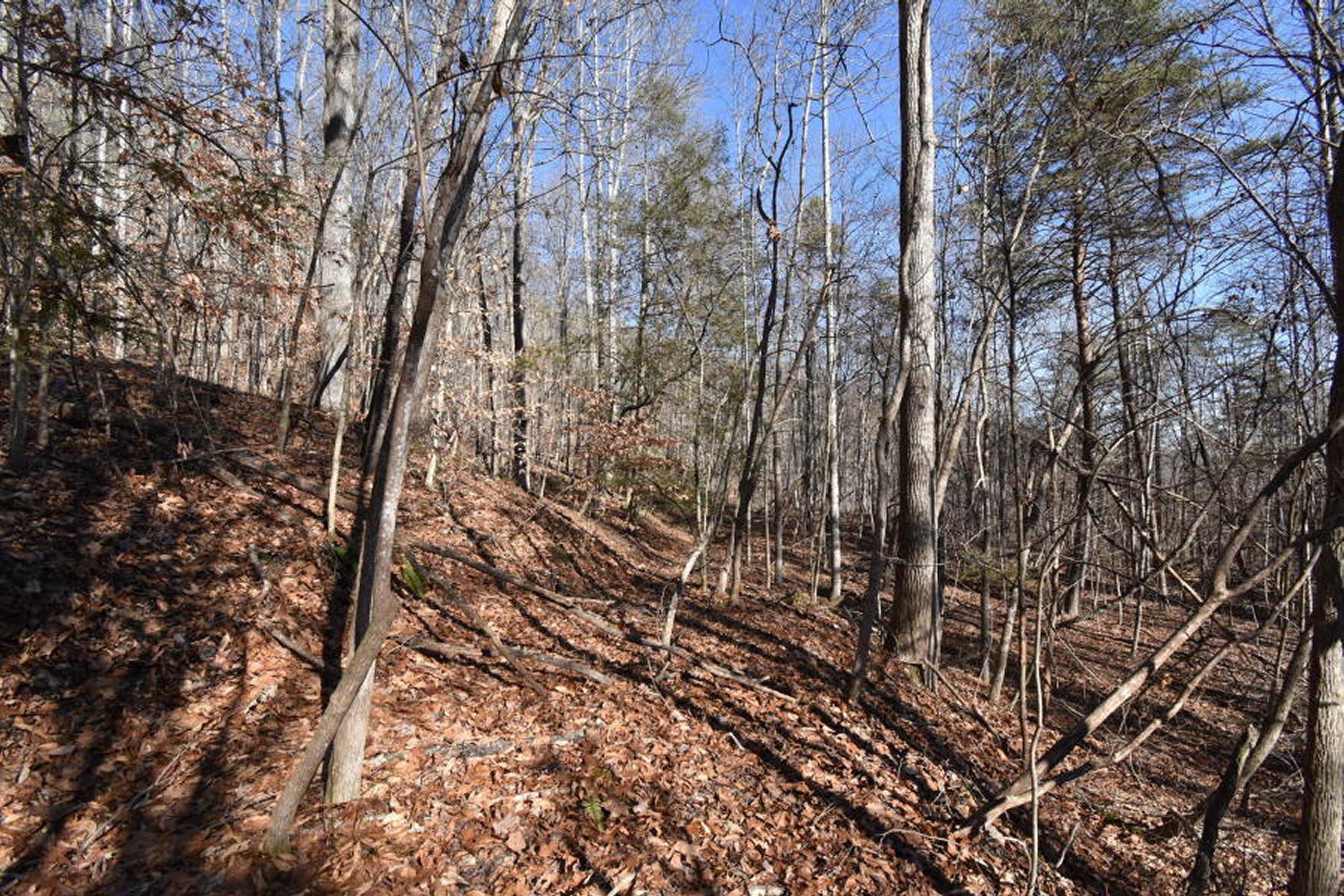 0 Sherm Mountain Road Sneedville, TN 37869 - Photo 9 of 24 9
