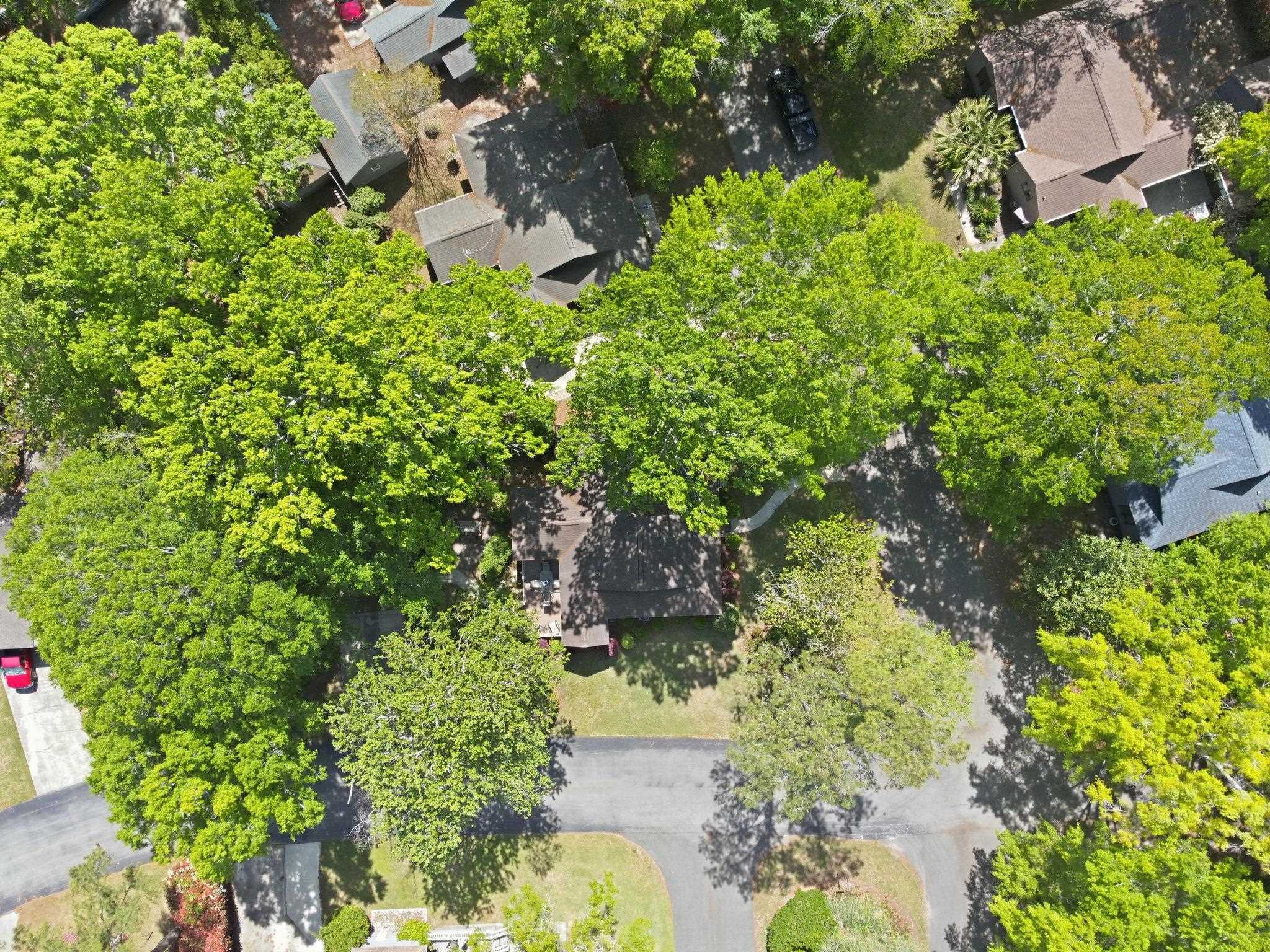 850 King James Court Murrells Inlet, SC 29576 - Photo 45 of 51