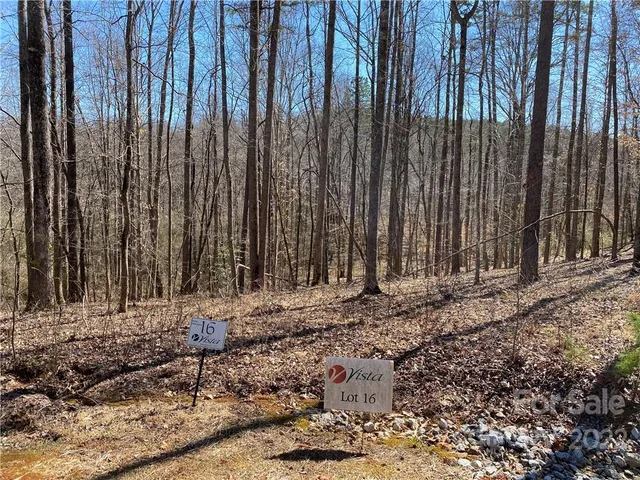a view of a backyard with trees
