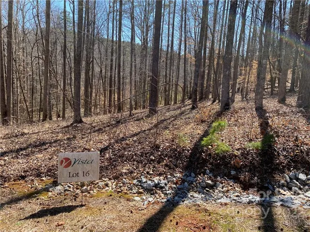 a view of a backyard with pathway