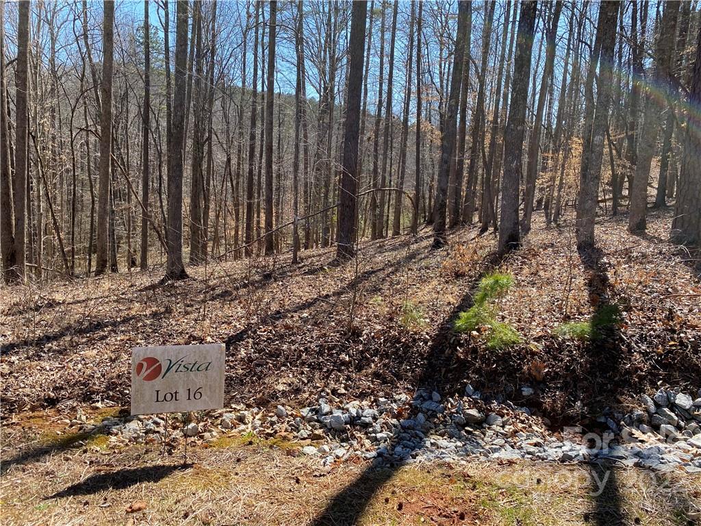0 Rambling Creek Road, Unit 16 Tryon, NC 28782 - Photo 3 of 11 a view of a backyard with pathway
