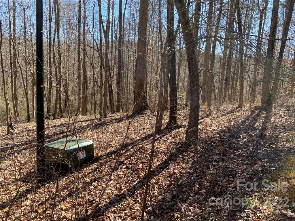 0 Rambling Creek Road, Unit 16 Tryon, NC 28782 - Photo 4 of 11 a view of a backyard with trees