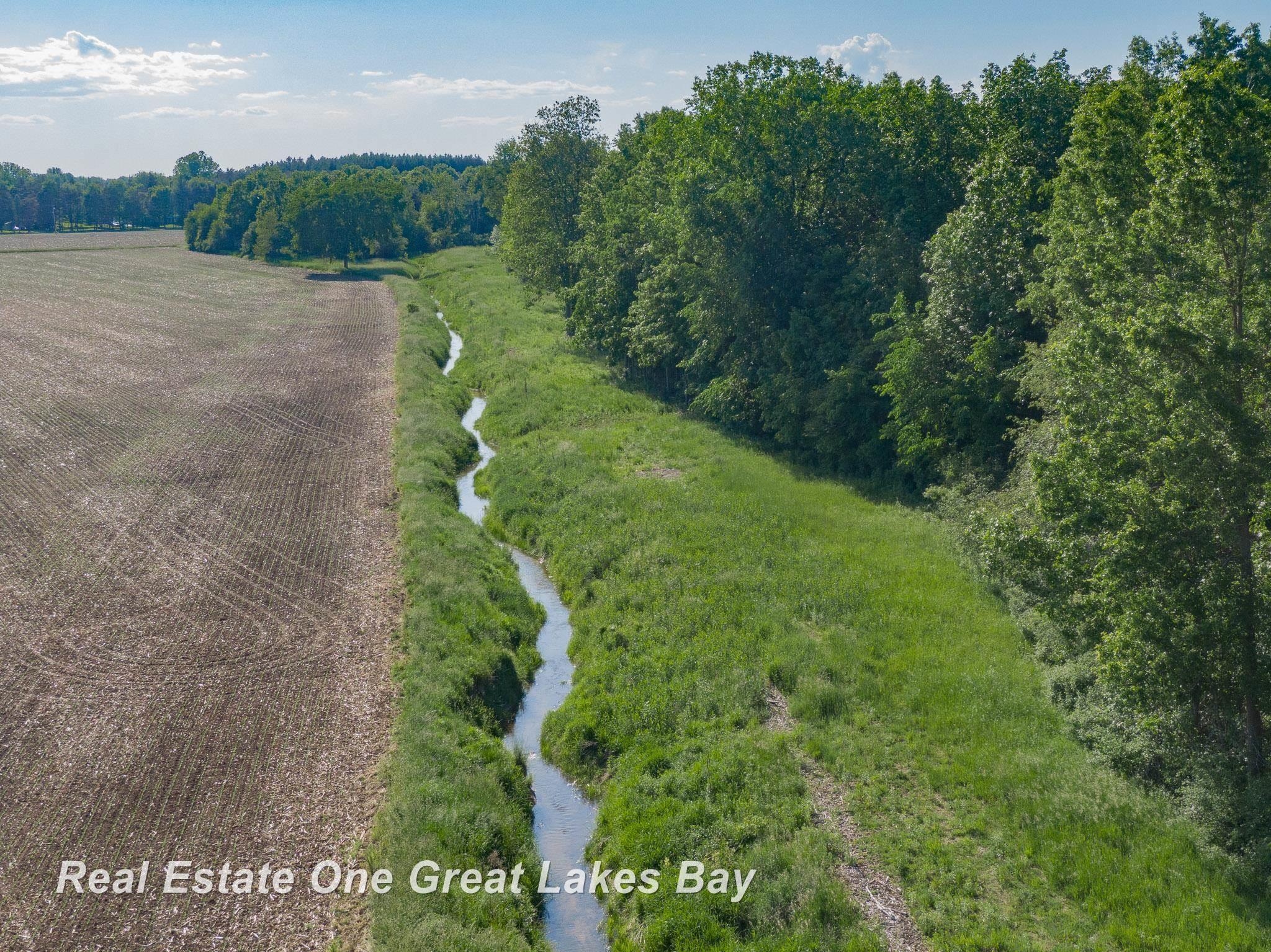 Roosevelt Road Hemlock, MI 48626 - Photo 28 of 28