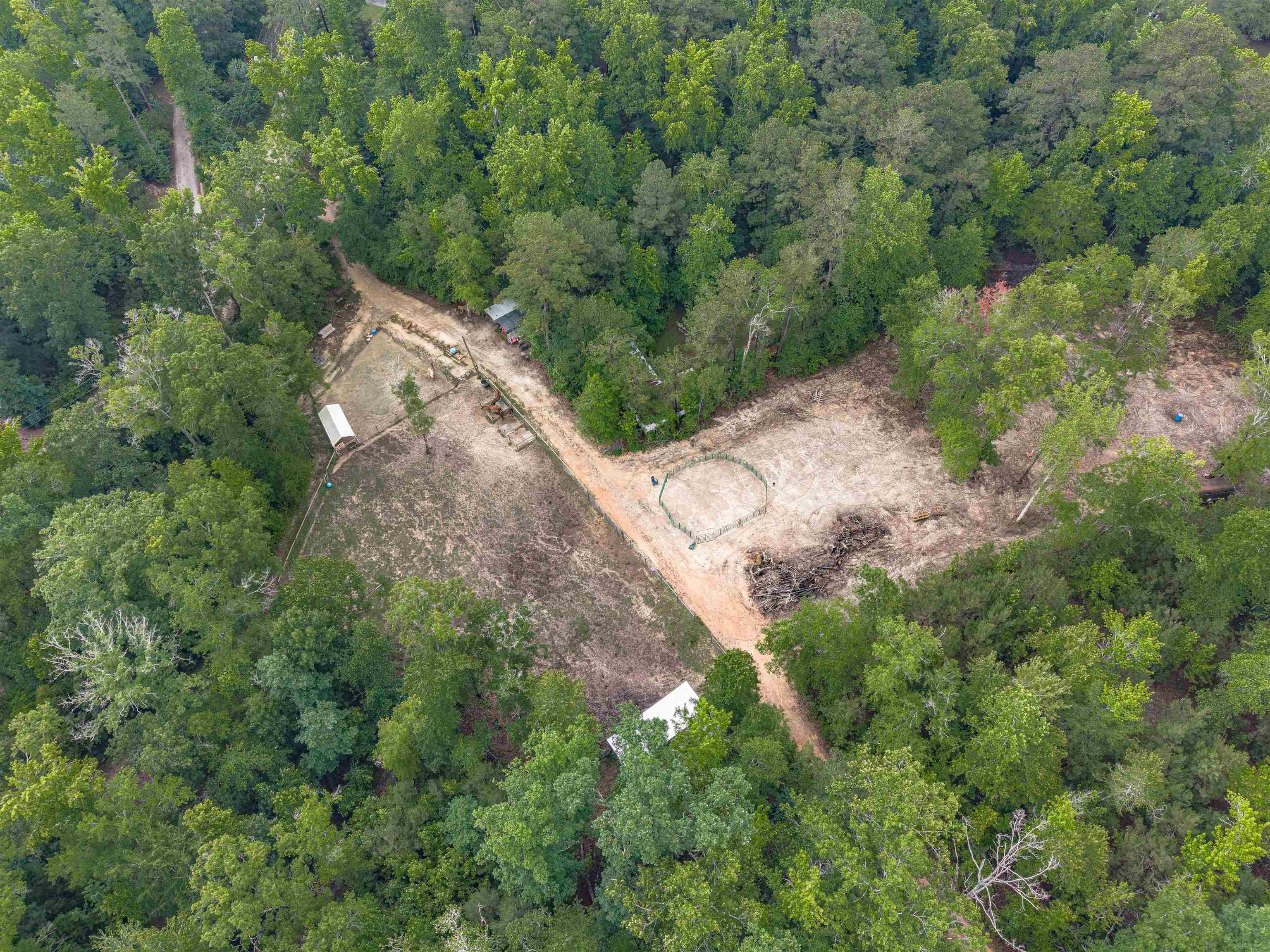 565 Portia Road Blythewood, SC 29016 - Photo 66 of 70