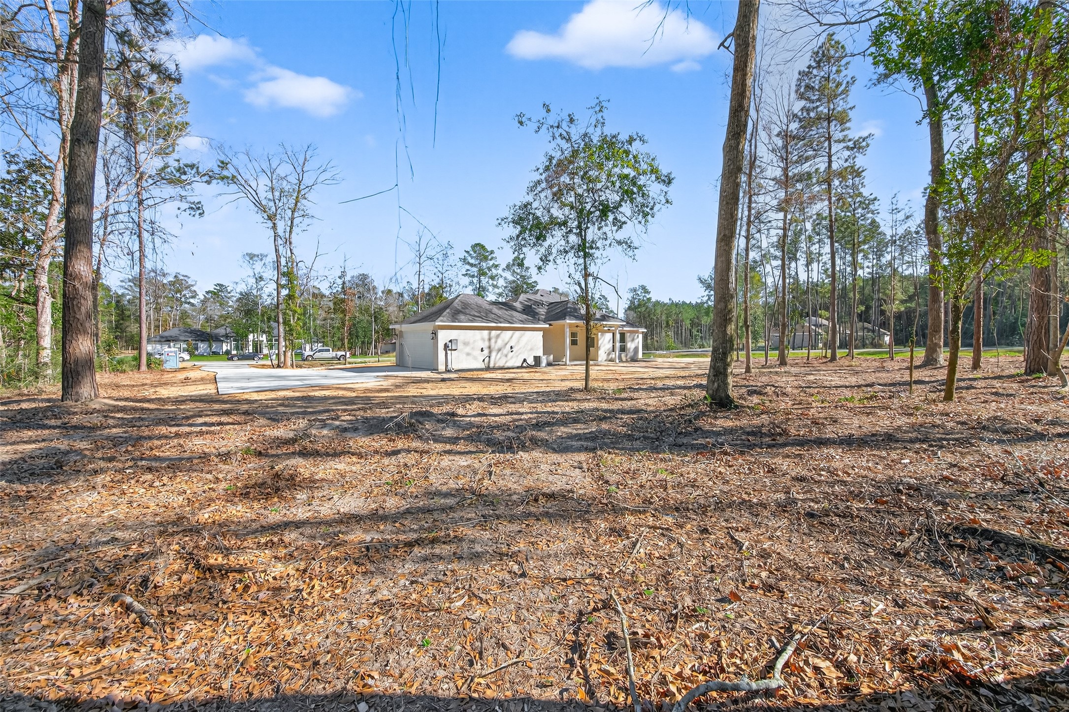 12879 Oak Barrel Road Willis, TX 77378 - Photo 35 of 37 a view of road with large trees