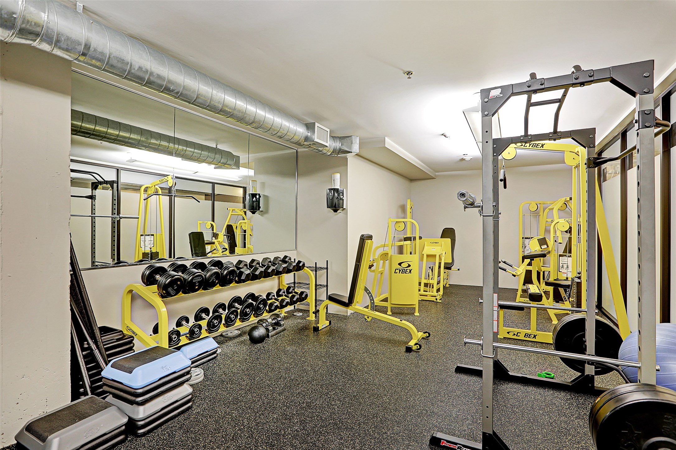 917 Main Street, Unit 503 Houston, TX 77002 - Photo 23 of 31 a room with gym equipment and windows