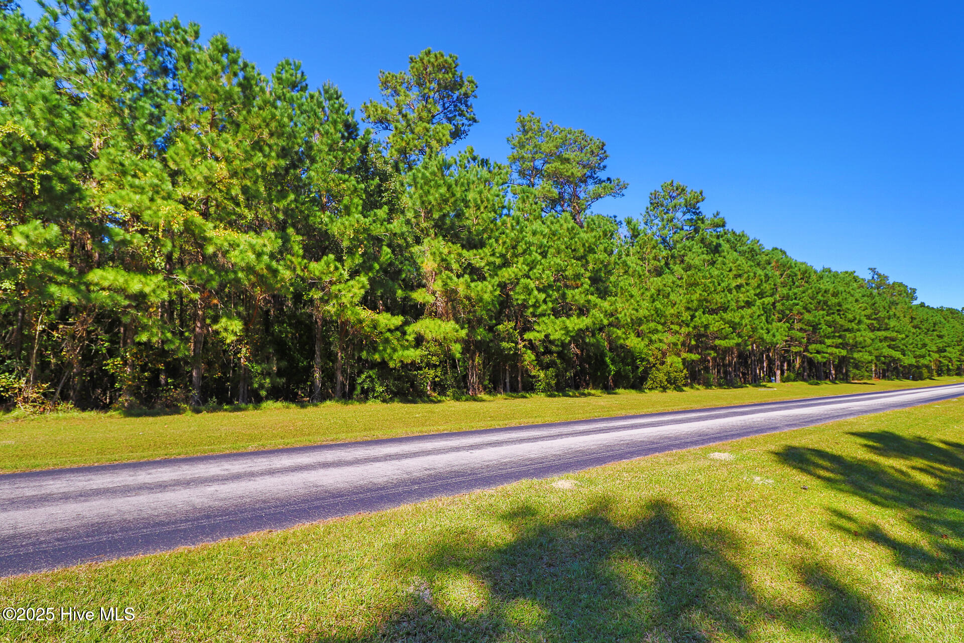 229 Garbacon Drive Beaufort, NC 28516 - Photo 6 of 13 229 Garbacon Drive