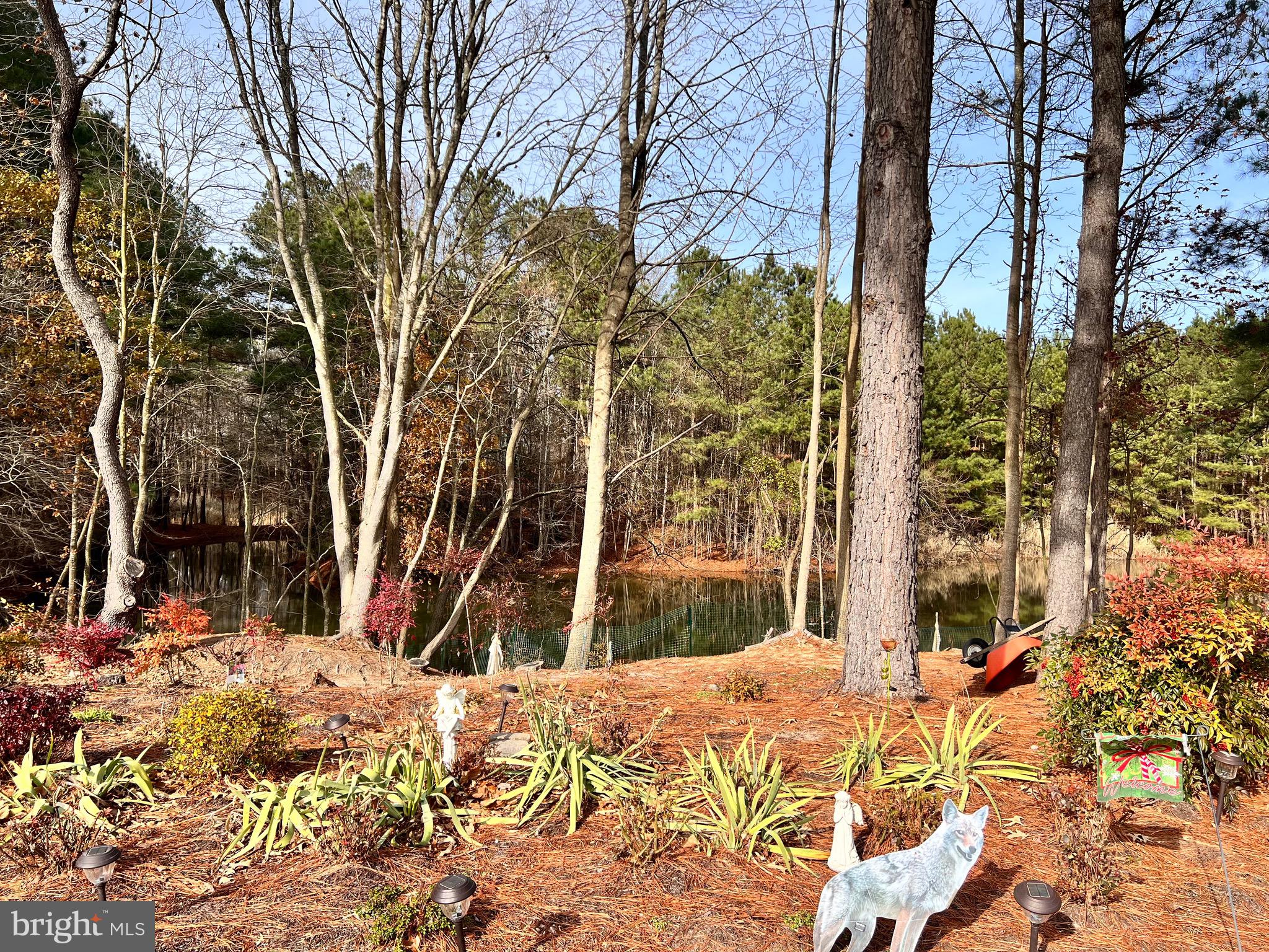210 Ringgold Road Fruitland, MD 21826 - Photo 4 of 6 a view of a backyard of the house