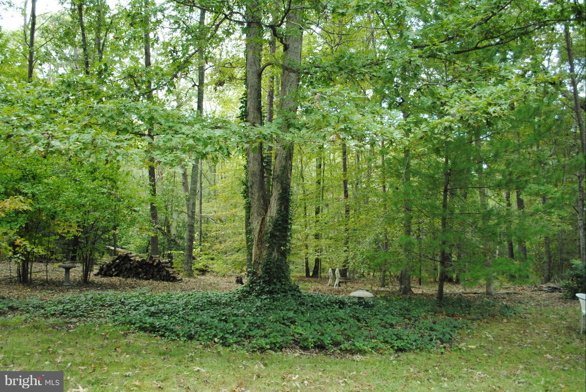 26879 Three Notch Road Mechanicsville, MD 20659 - Photo 12 of 12 View