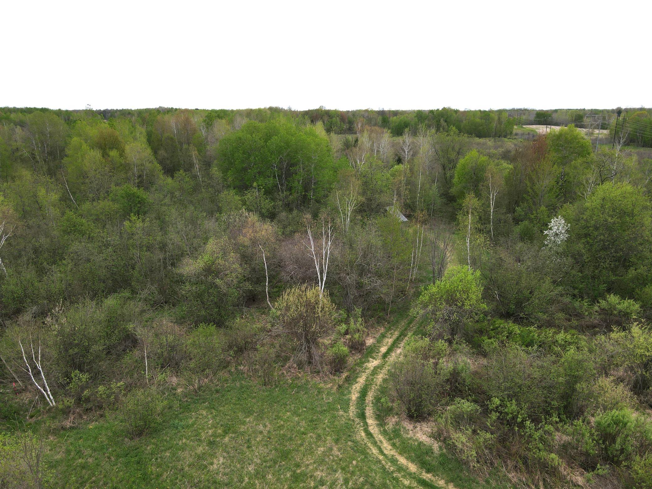 Tbd Silo Road Sarona, WI 54870 - Photo 5 of 22