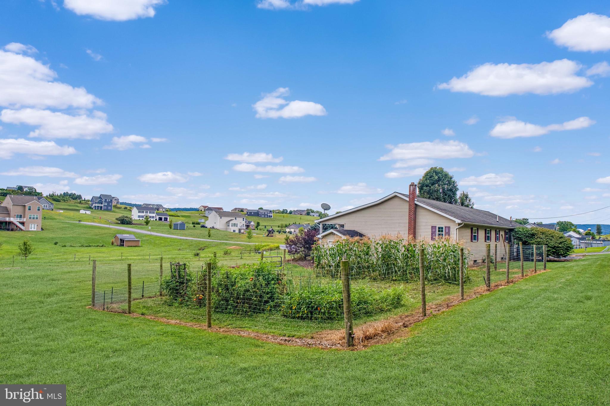 129 Walker Drive Spring Mills, PA 16875 - Photo 23 of 29 a view of a house with a big yard and potted plants