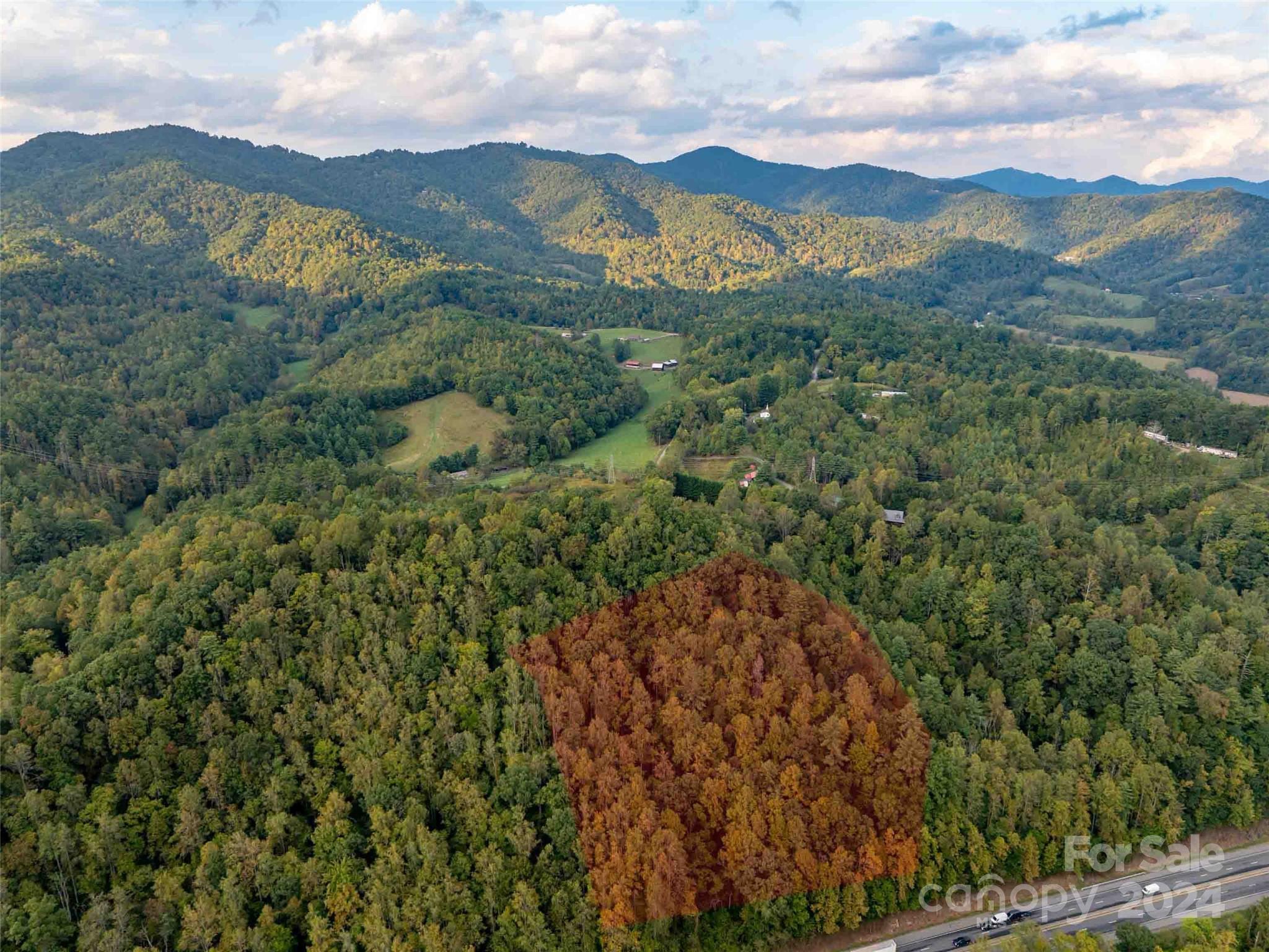 0 Mountain Mission Road Clyde, NC 28721 - Photo 2 of 13