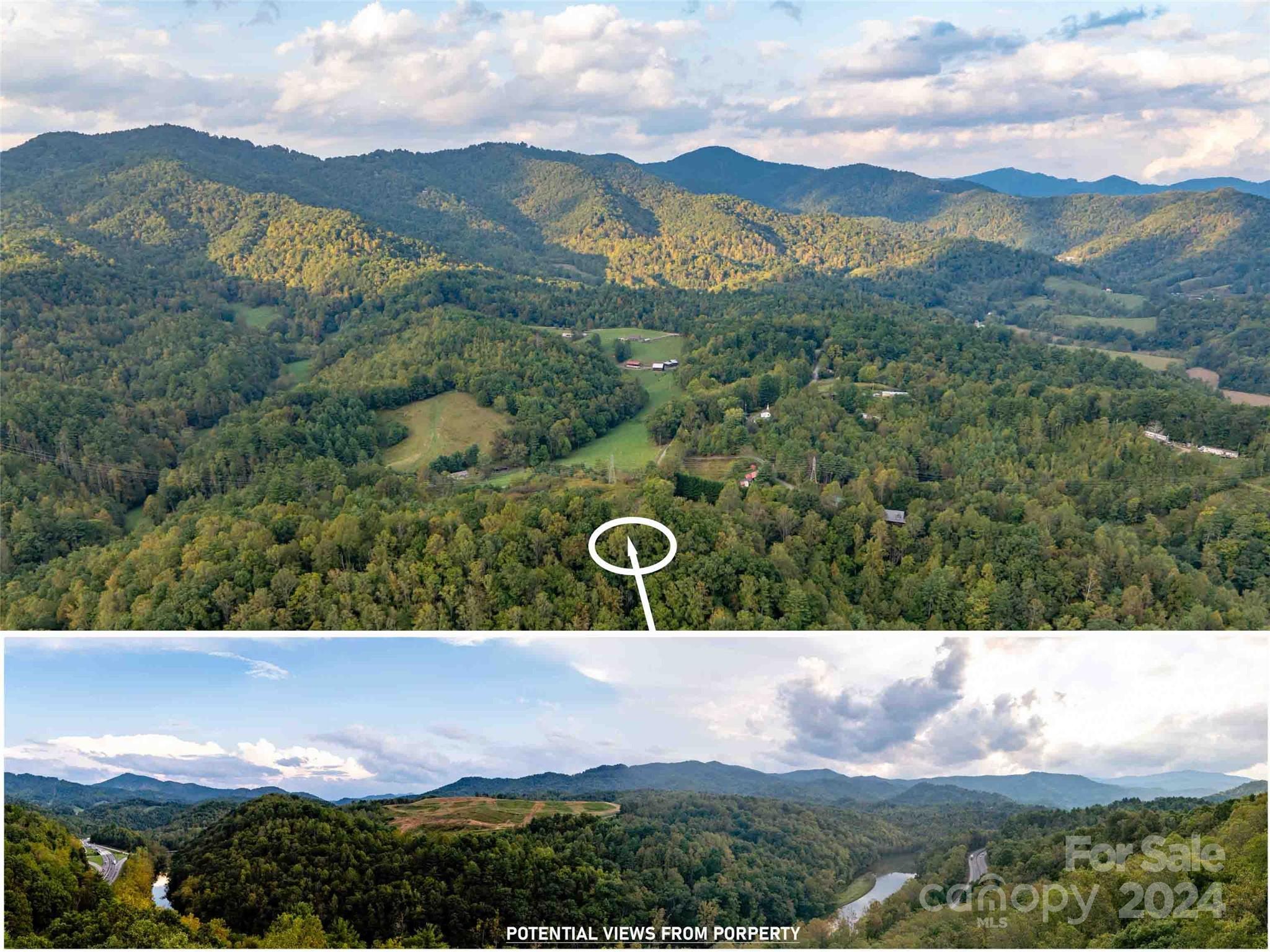 0 Mountain Mission Road Clyde, NC 28721 - Photo 3 of 13