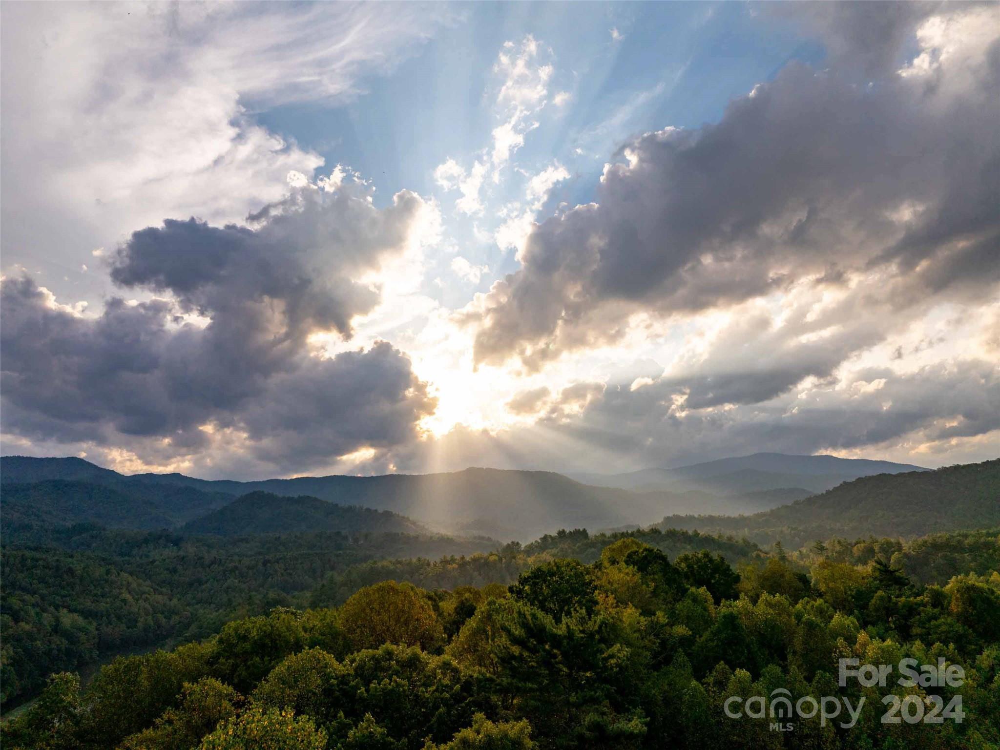0 Mountain Mission Road Clyde, NC 28721 - Photo 4 of 13