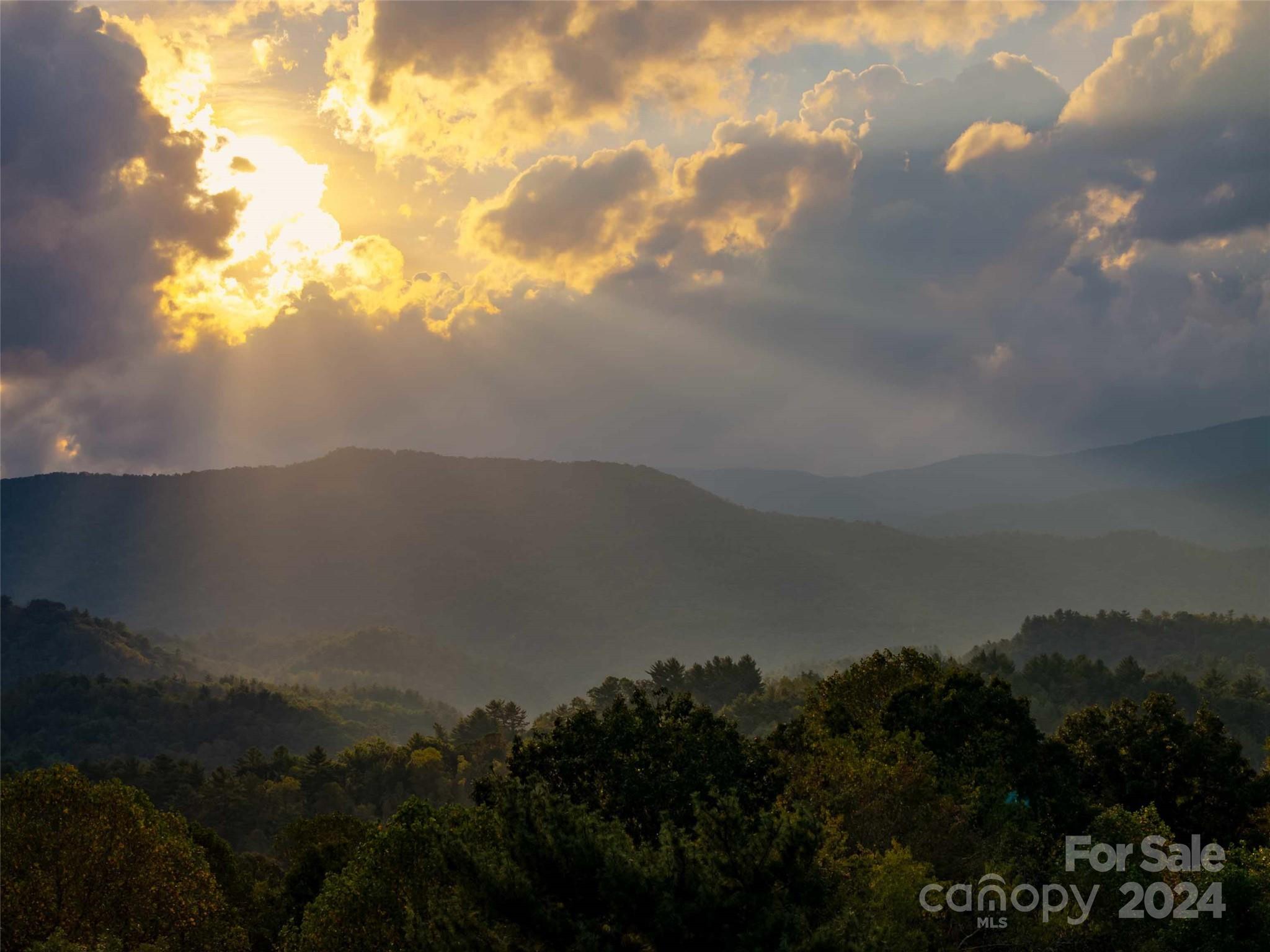 0 Mountain Mission Road Clyde, NC 28721 - Photo 6 of 13
