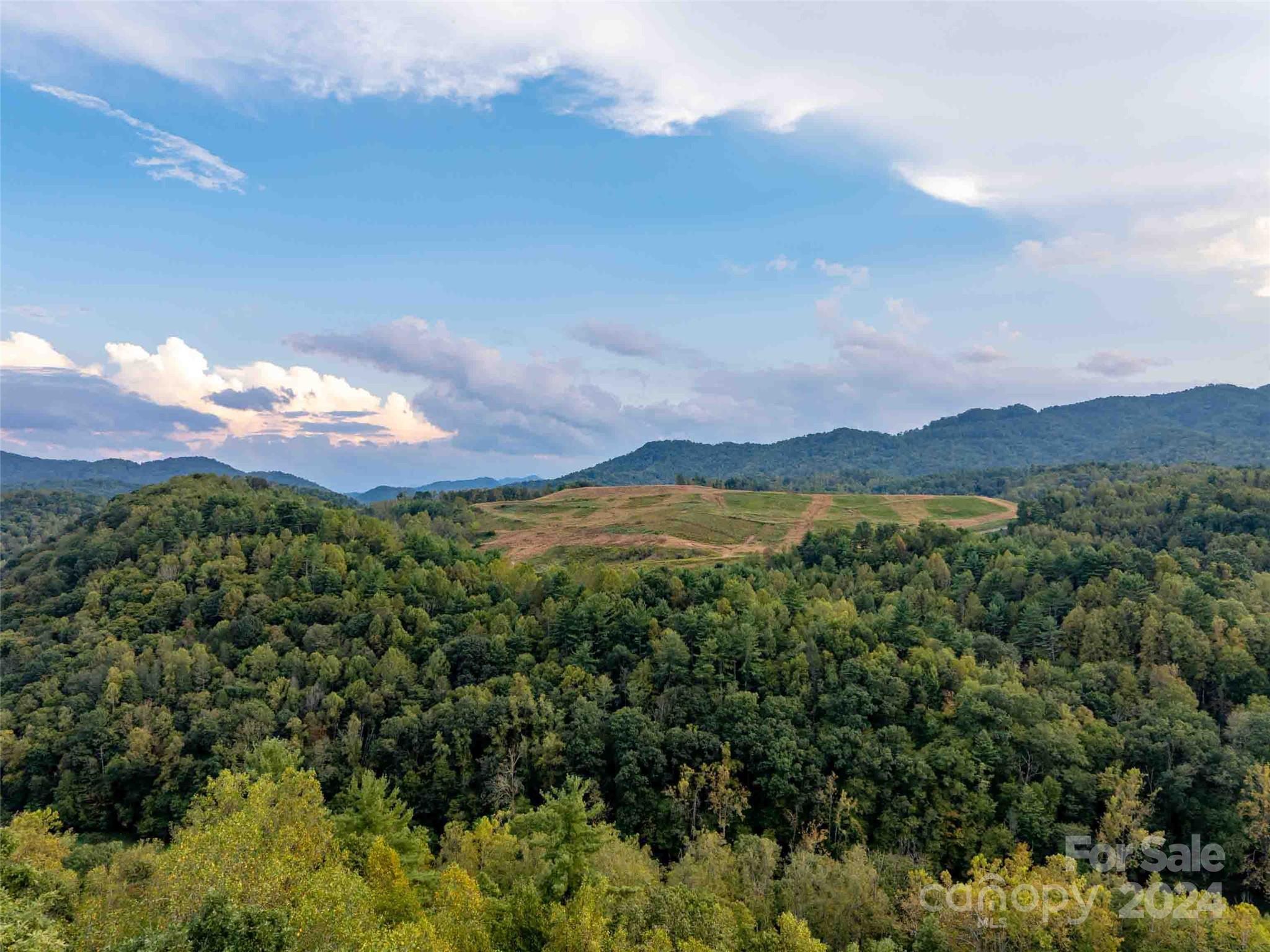 0 Mountain Mission Road Clyde, NC 28721 - Photo 10 of 13