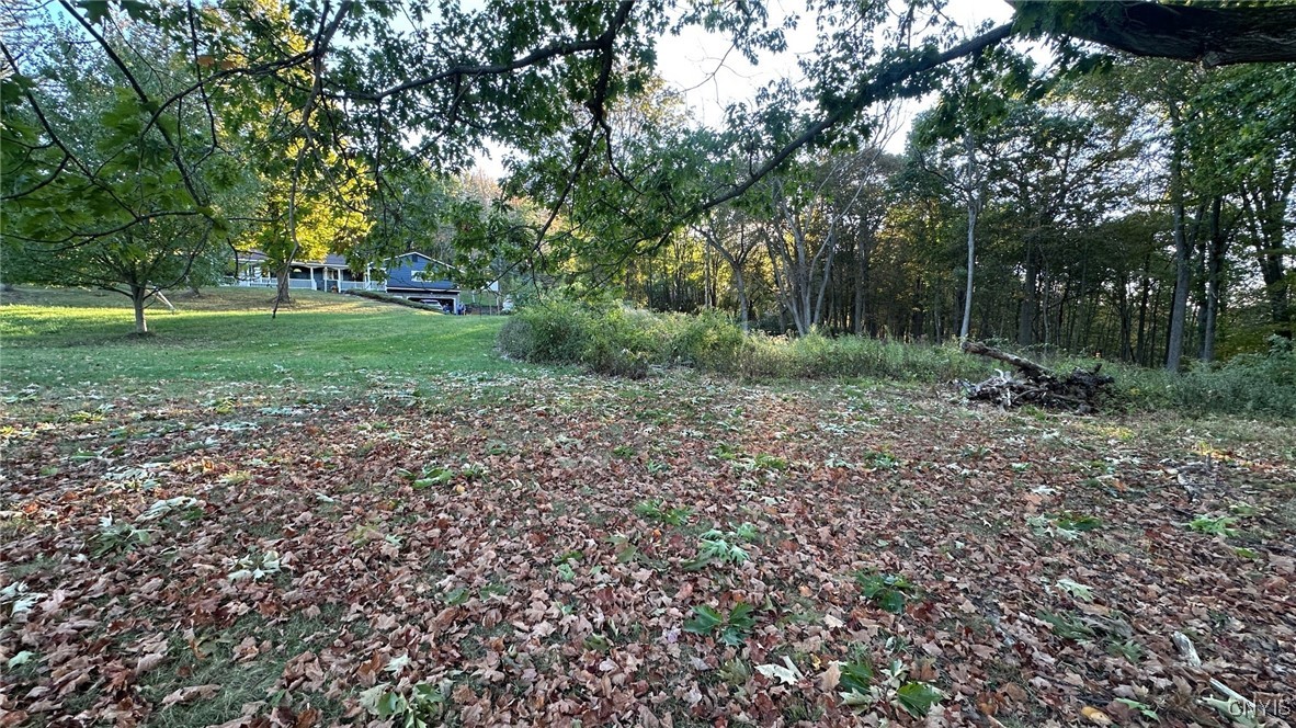 0 Nob Road Utica, NY 13501 - Photo 2 of 5