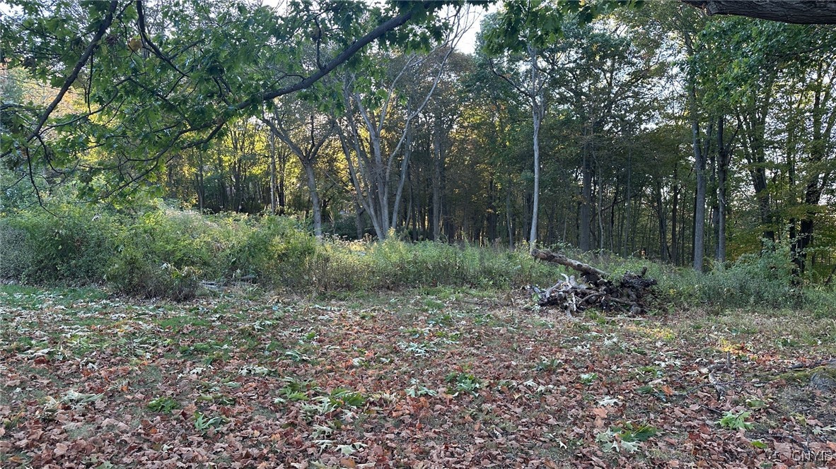 0 Nob Road Utica, NY 13501 - Photo 3 of 5