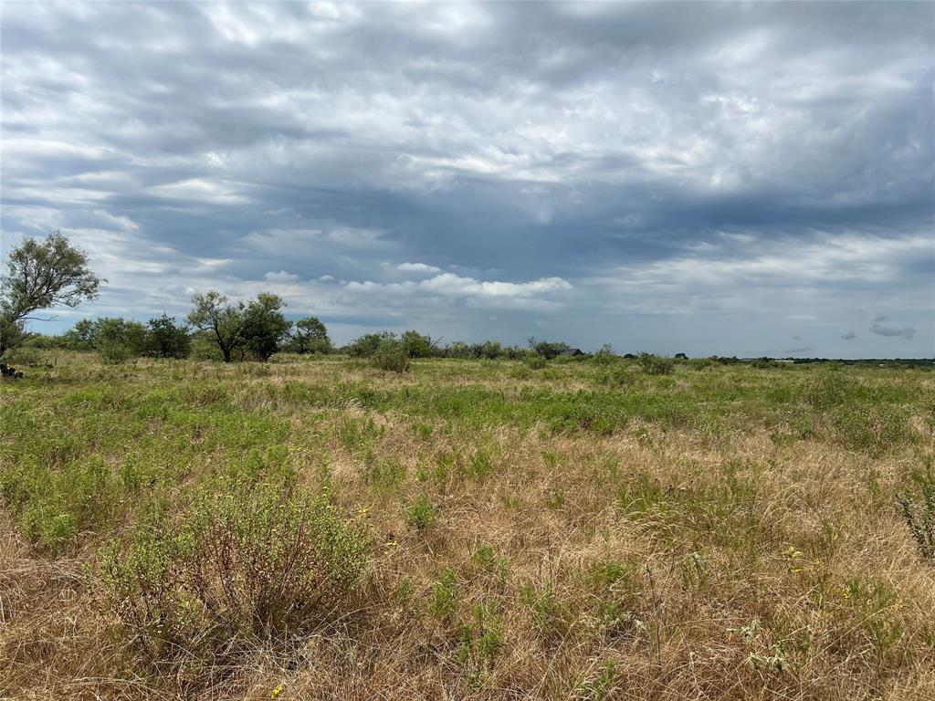 2071 Fm-52 Weatherford, TX 76088 - Photo 10 of 10