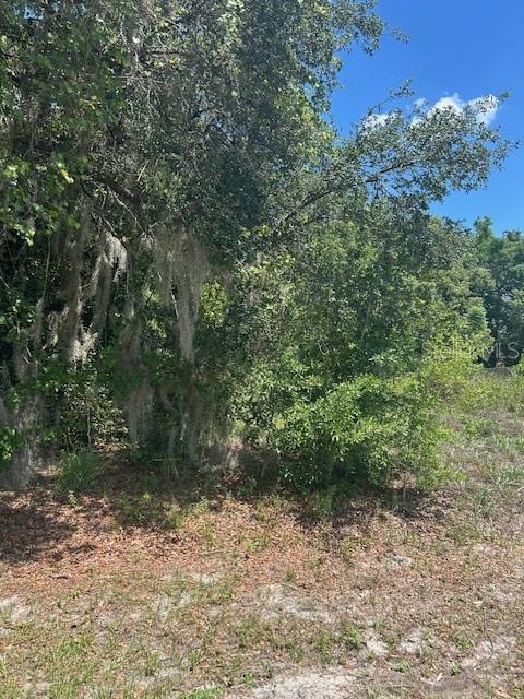 Marta Road DeBary, FL 32713 - Photo 1 of 1 a view of a yard with plants and a large tree