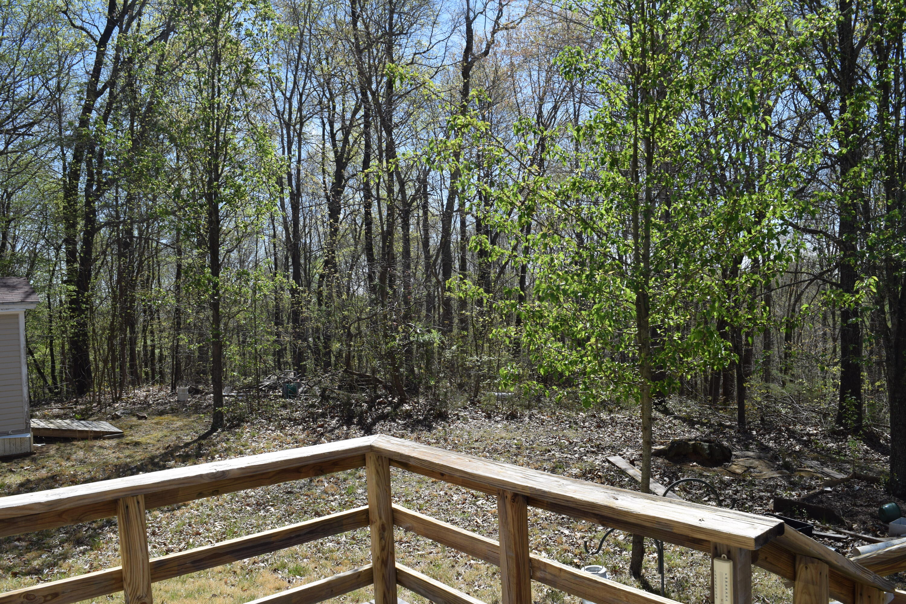 1186 Owl Hole Gap Road Rutledge, TN 37861 - Photo 17 of 29 Photo 18