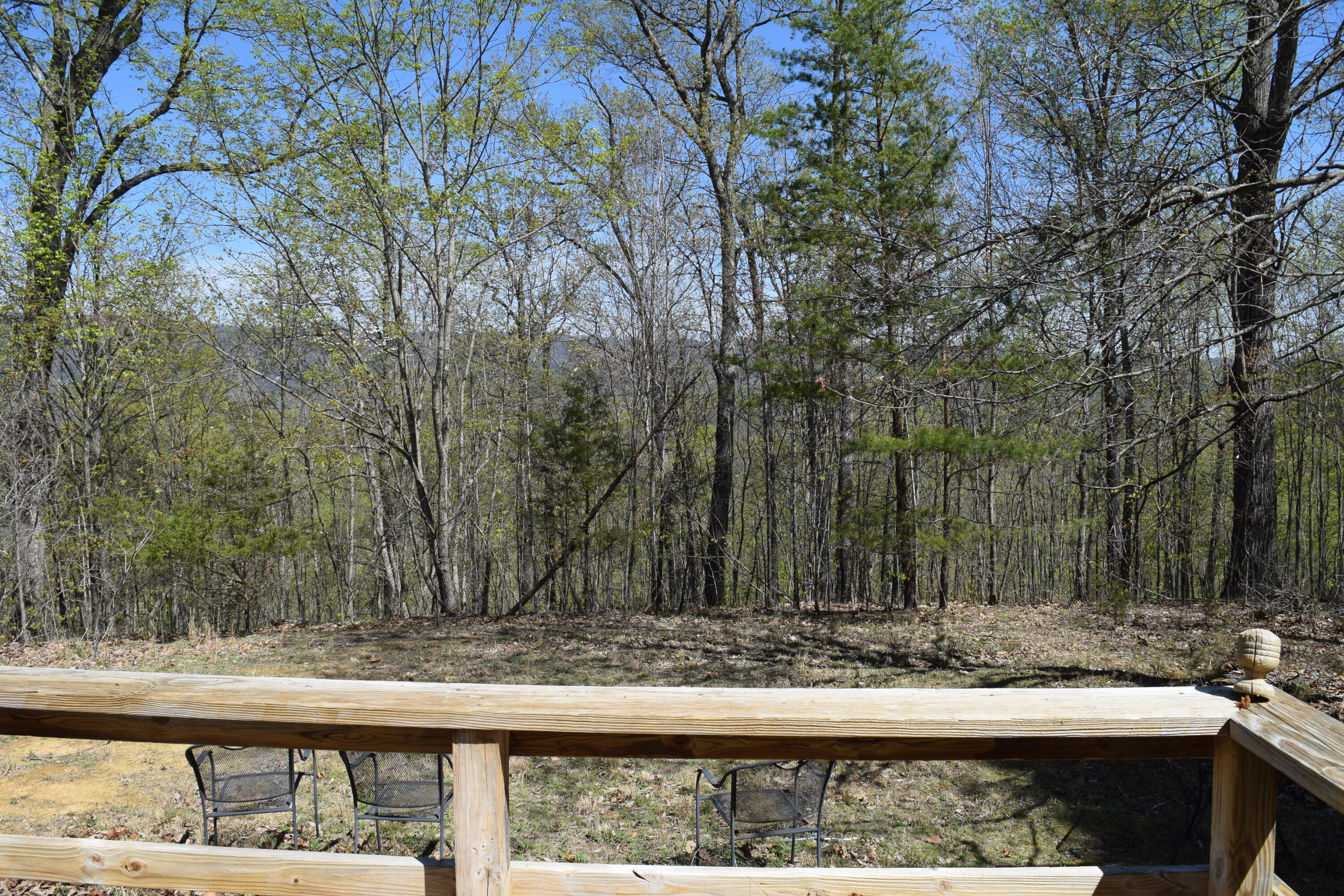 1186 Owl Hole Gap Road Rutledge, TN 37861 - Photo 21 of 29 Photo 23