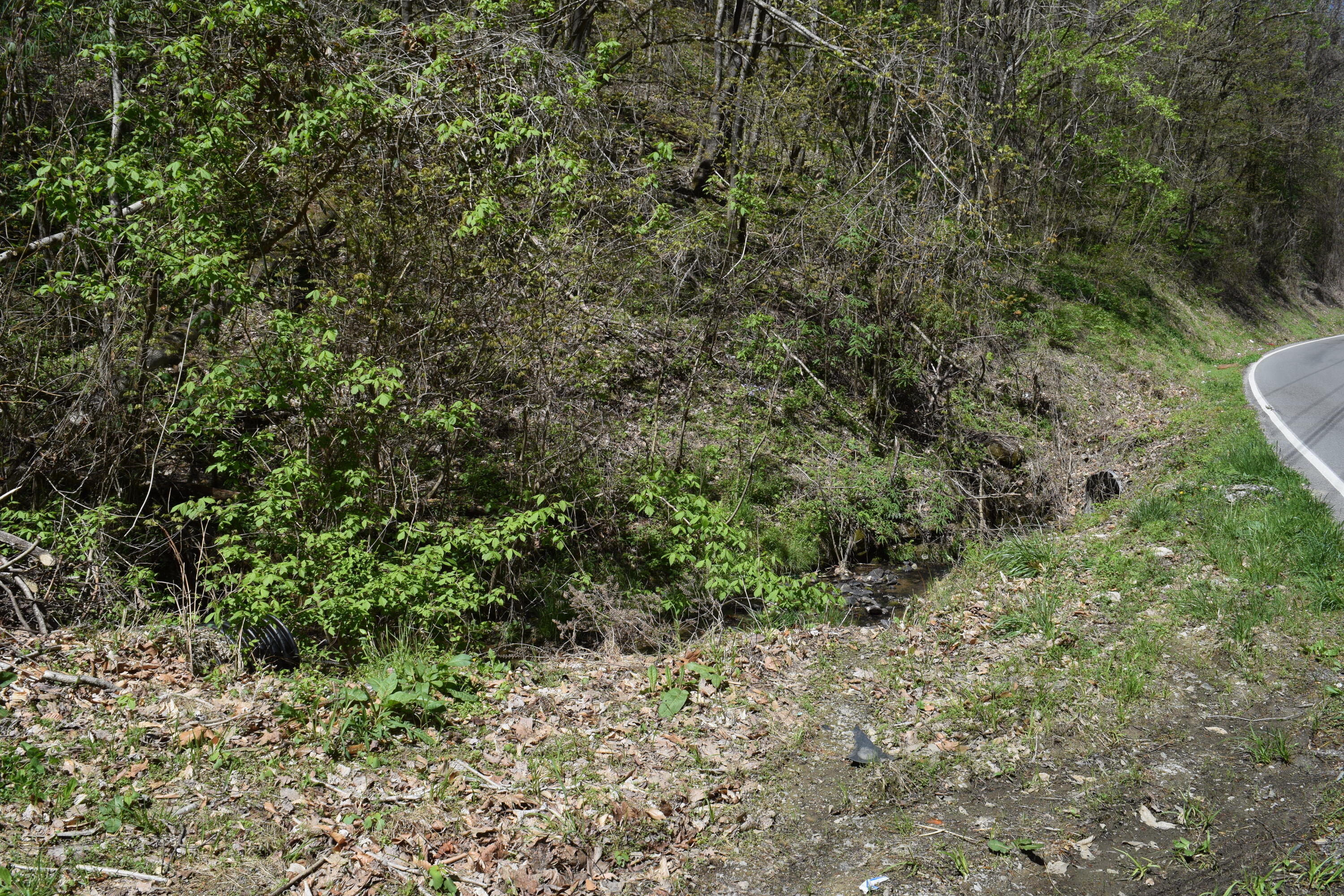 1186 Owl Hole Gap Road Rutledge, TN 37861 - Photo 25 of 29 Photo 27