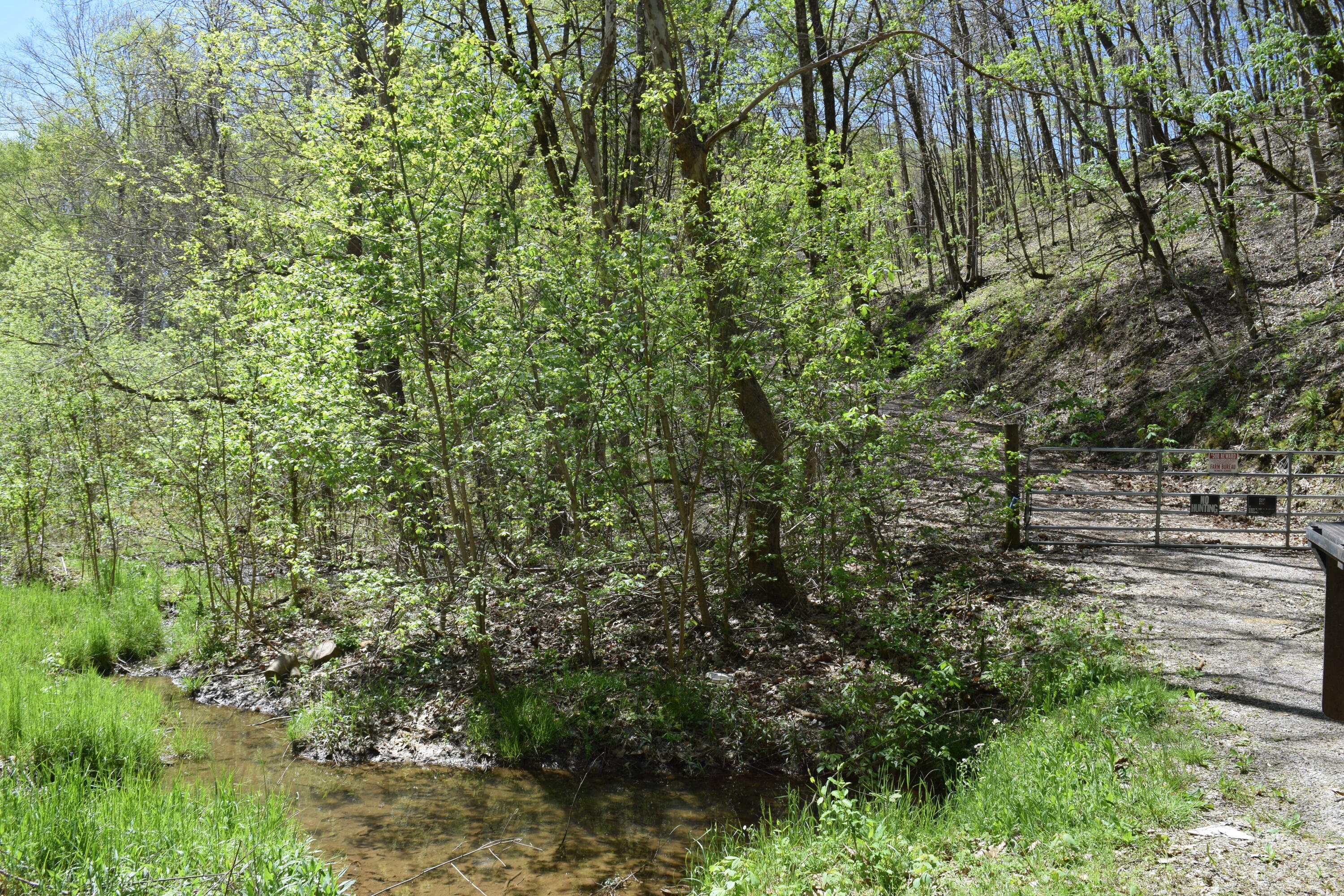 1186 Owl Hole Gap Road Rutledge, TN 37861 - Photo 27 of 29 Photo 29