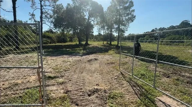a view of a backyard