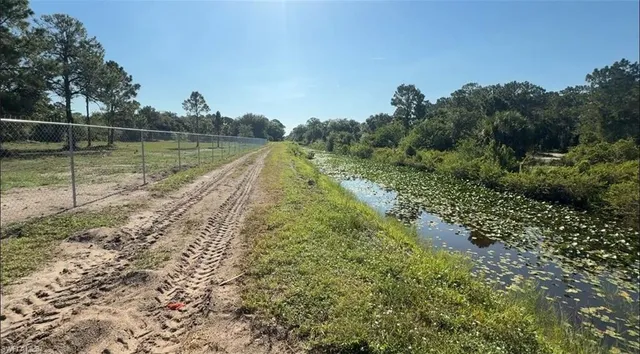 a view of a lake with a yard and large trees