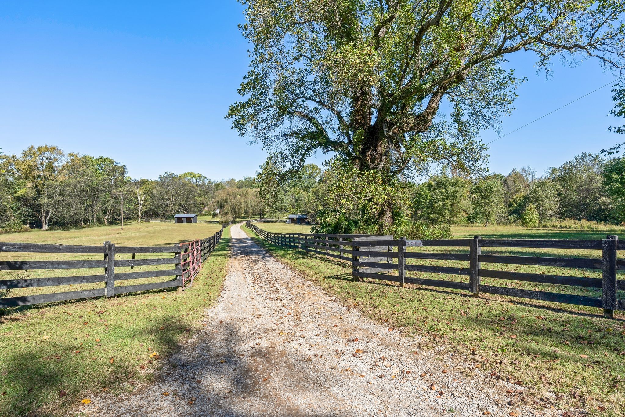 6646 Arno-College Grove Road College Grove, TN 37046 - Photo 70 of 93