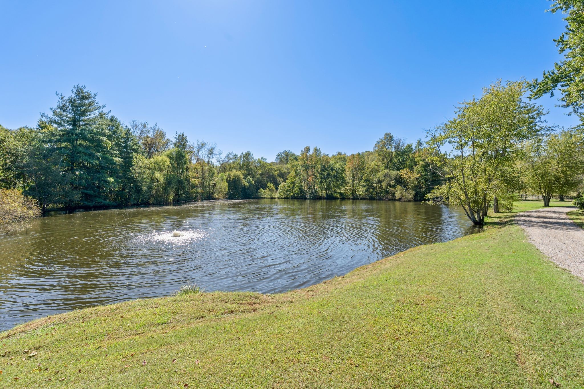 6646 Arno-College Grove Road College Grove, TN 37046 - Photo 74 of 93