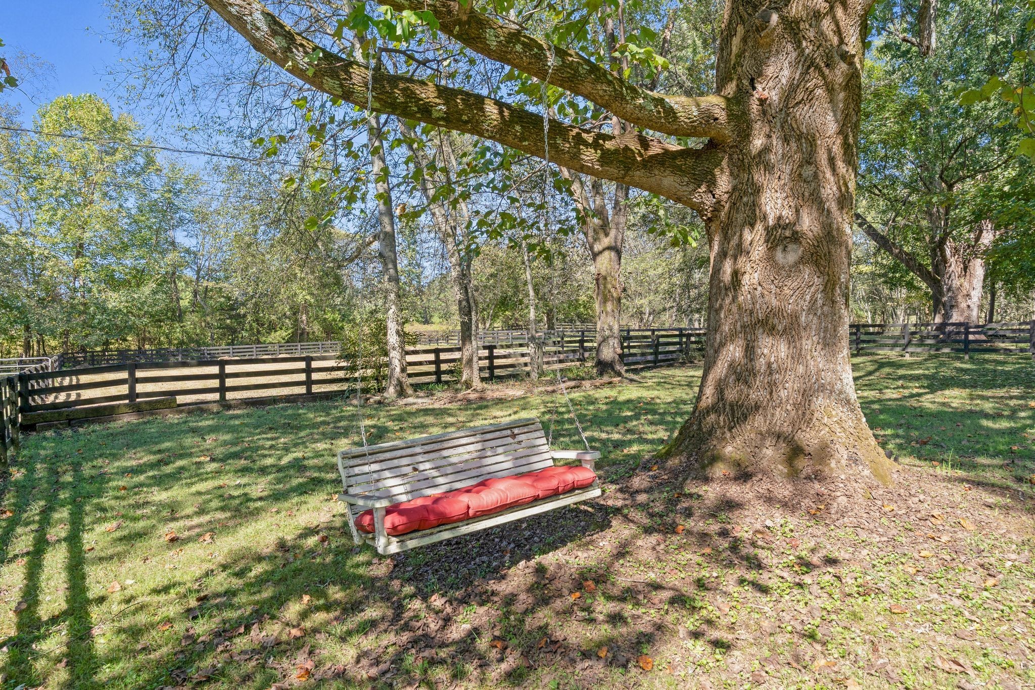 6646 Arno-College Grove Road College Grove, TN 37046 - Photo 76 of 93