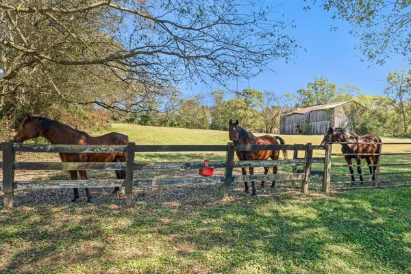 $2,999,999 | 6646 Arno-College Grove Road, College Grove, TN 37046