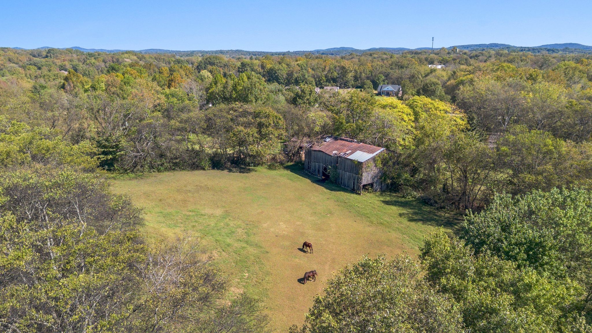 6646 Arno-College Grove Road College Grove, TN 37046 - Photo 93 of 93