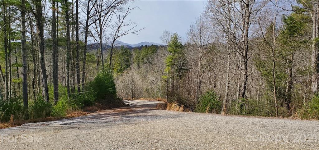 300 Arrowhead Road Ferguson, NC 28624 - Photo 18 of 48 a view of backyard with green space