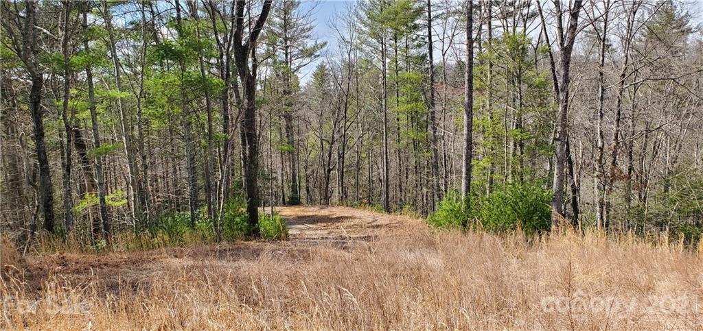 300 Arrowhead Road Ferguson, NC 28624 - Photo 20 of 48 a view of backyard with green space