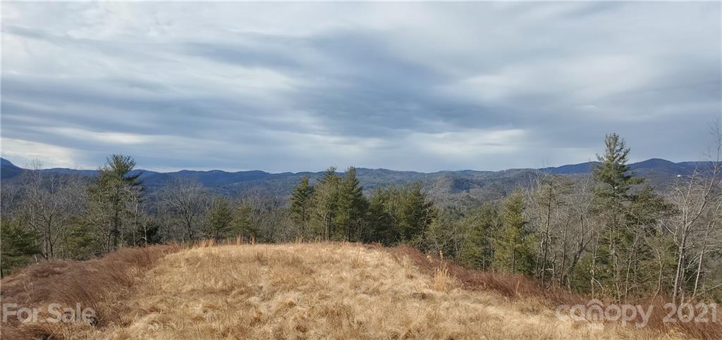 300 Arrowhead Road Ferguson, NC 28624 - Photo 3 of 48 a view of a dry yard with mountains in the background